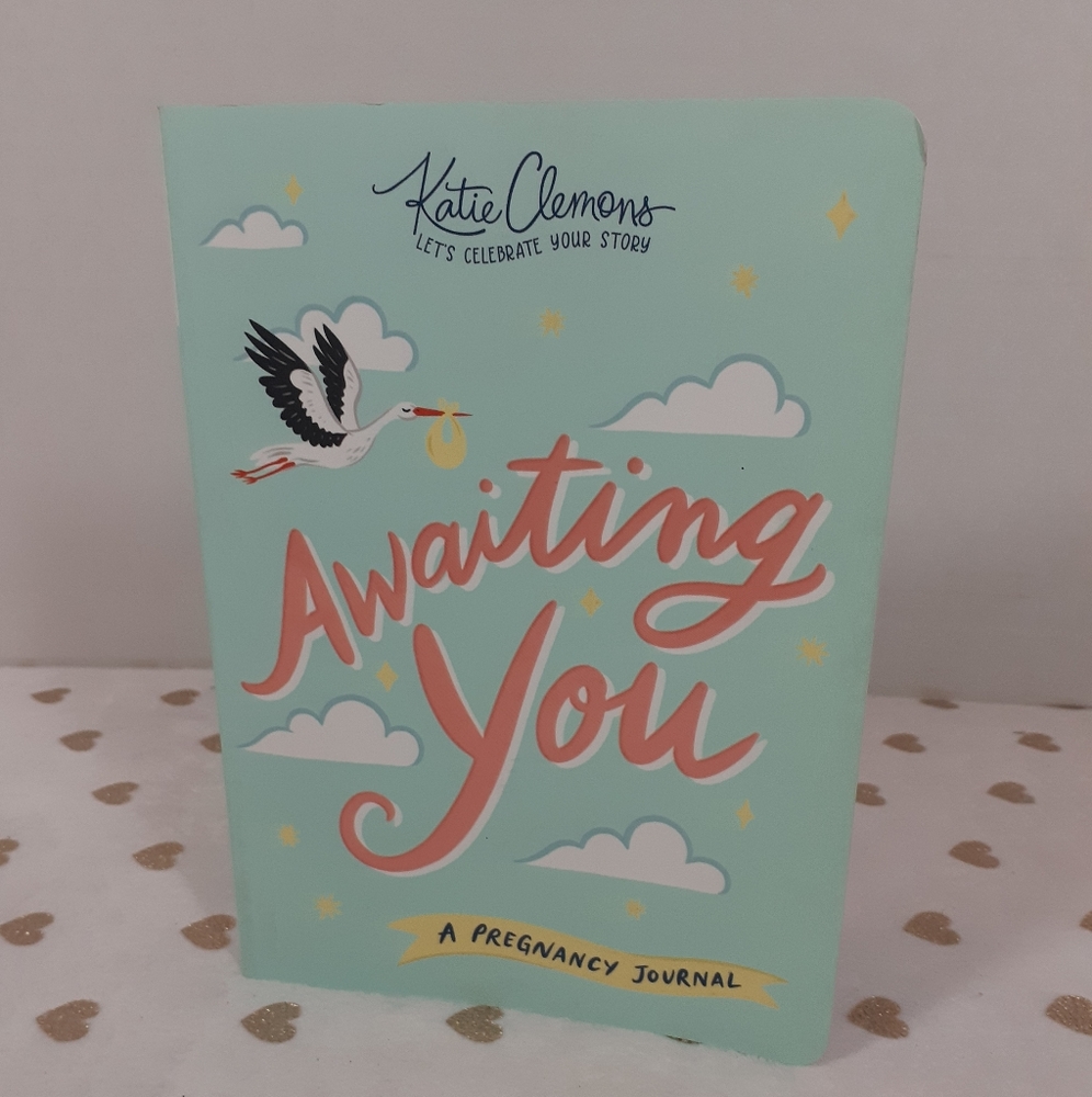📚🎨 3/$15 *New* Pregnancy Journal Book